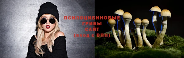 наркотики Вяземский