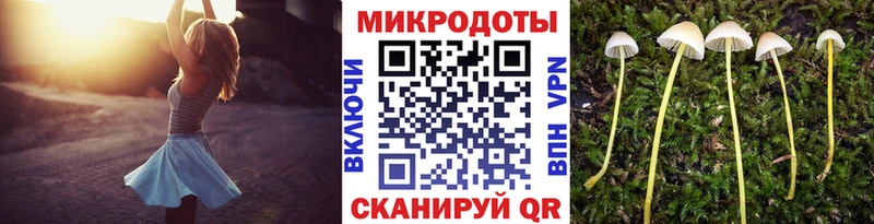 Псилоцибиновые грибы ЛСД  Лодейное Поле 